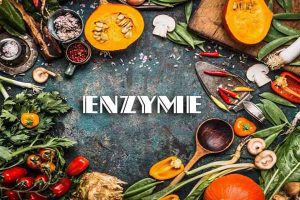 Những ứng dụng của công nghệ enzyme